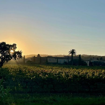 La Villa Cavalaire Bagian luar foto