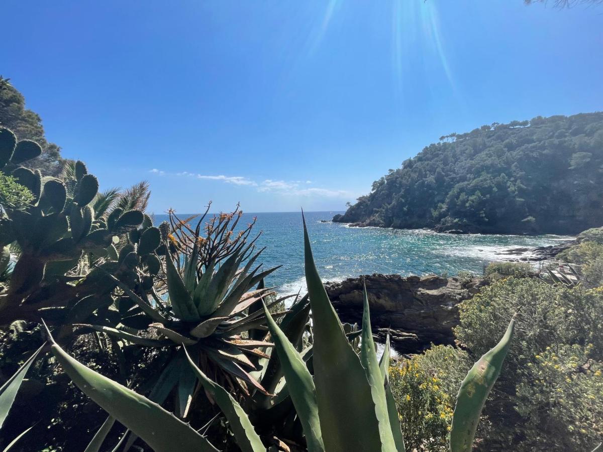 La Villa Cavalaire Bagian luar foto
