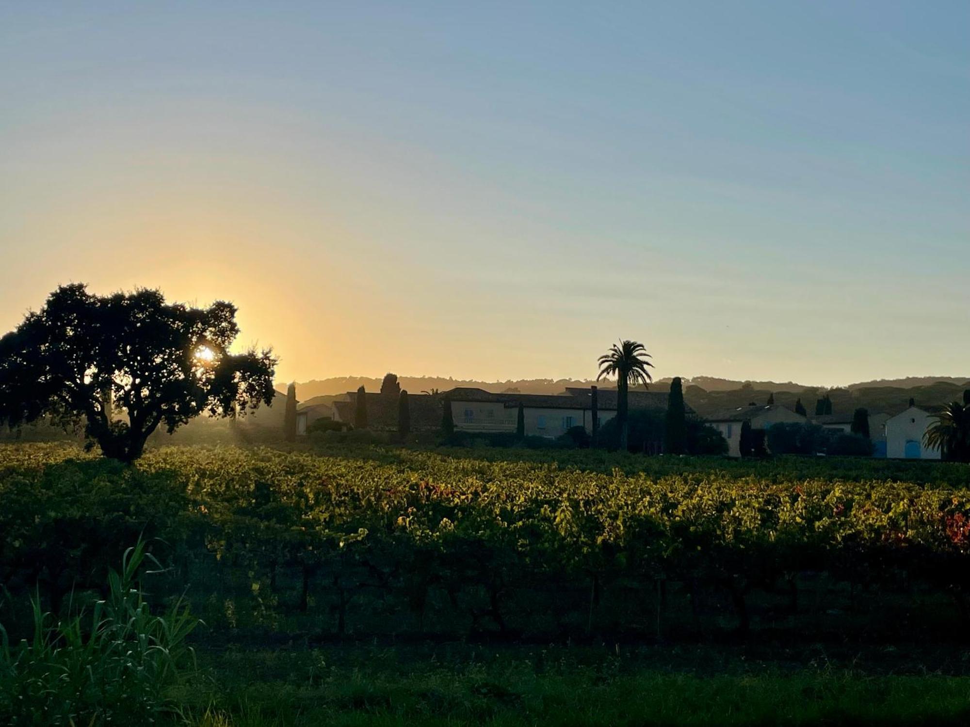 La Villa Cavalaire Bagian luar foto