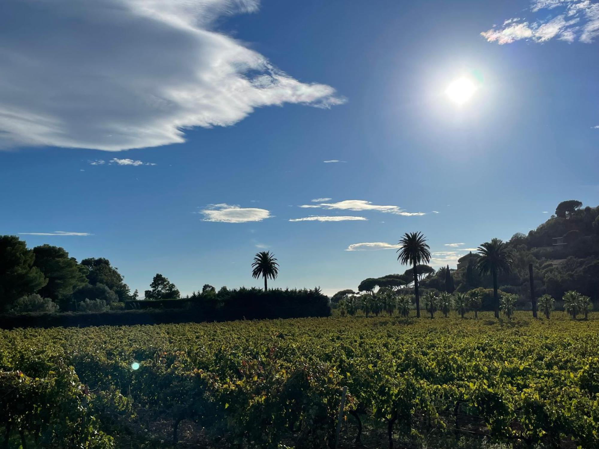 La Villa Cavalaire Bagian luar foto